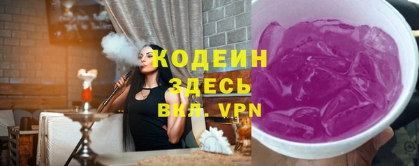 гидра Ельня