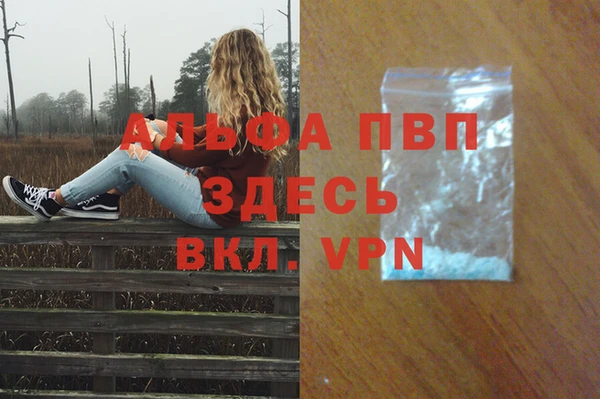 гидра Ельня