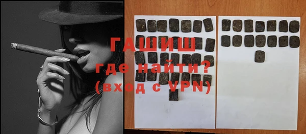 гидра Ельня