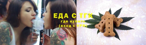СК Елабуга