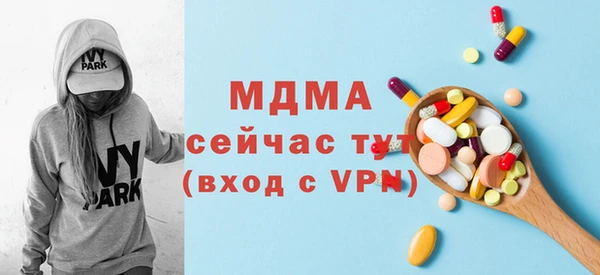 гидра Ельня