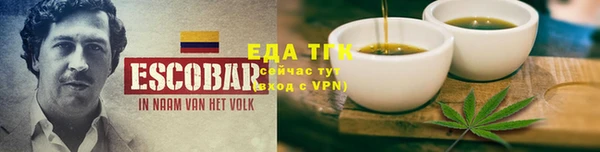 гидра Ельня