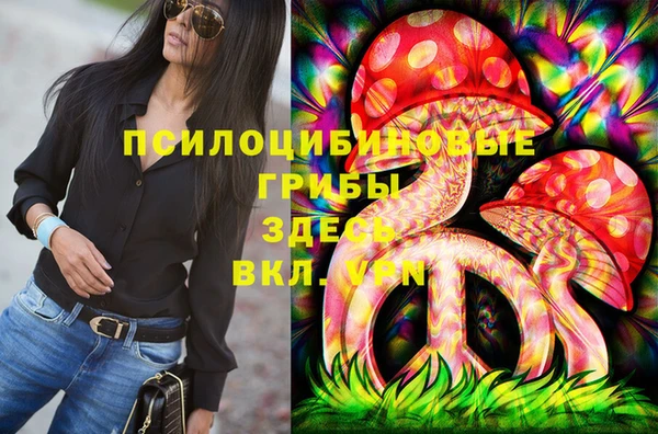 гидра Ельня