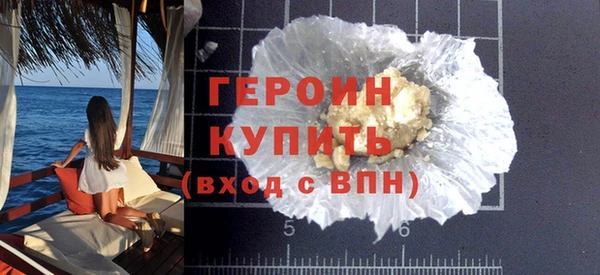 гидра Ельня