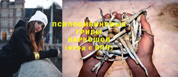 гидра Ельня