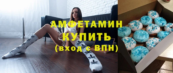 гидра Ельня