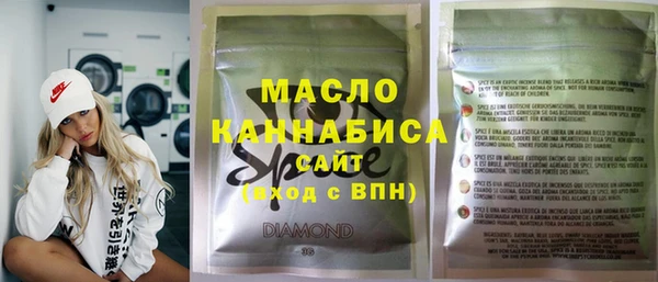 гидра Ельня